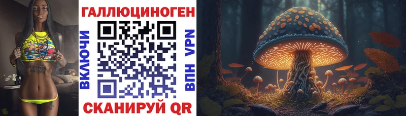 дарк нет какой сайт  Злынка  Псилоцибиновые грибы Cubensis  закладки 